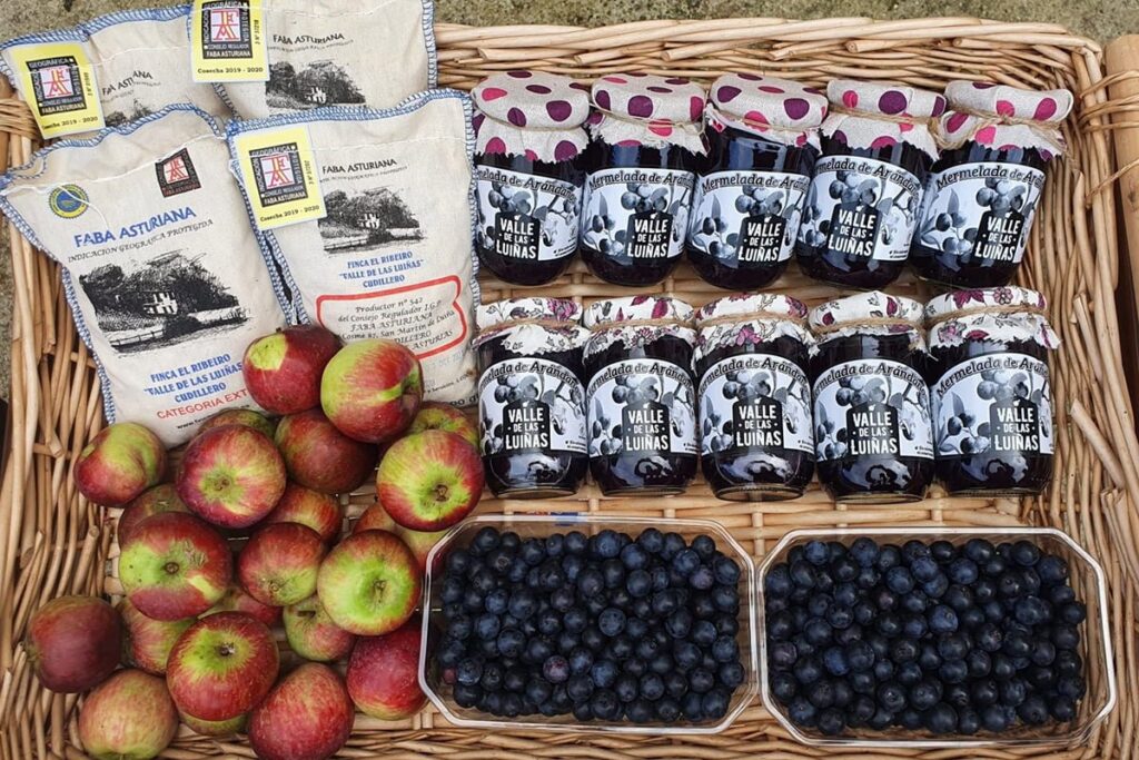 Faba Asturiana Manzana Arandanos Asturianos Finca El Ribeiro