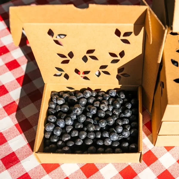 arándanos ecológicos 0,5 kg producto asturiano