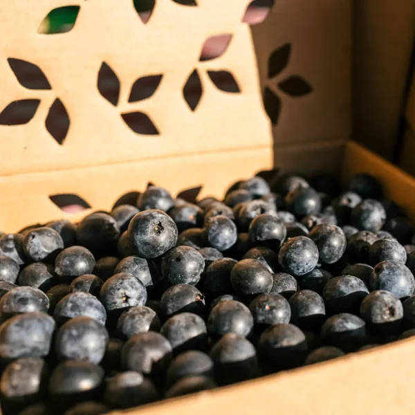 arándanos ecológicos 0,5 kg producto asturiano