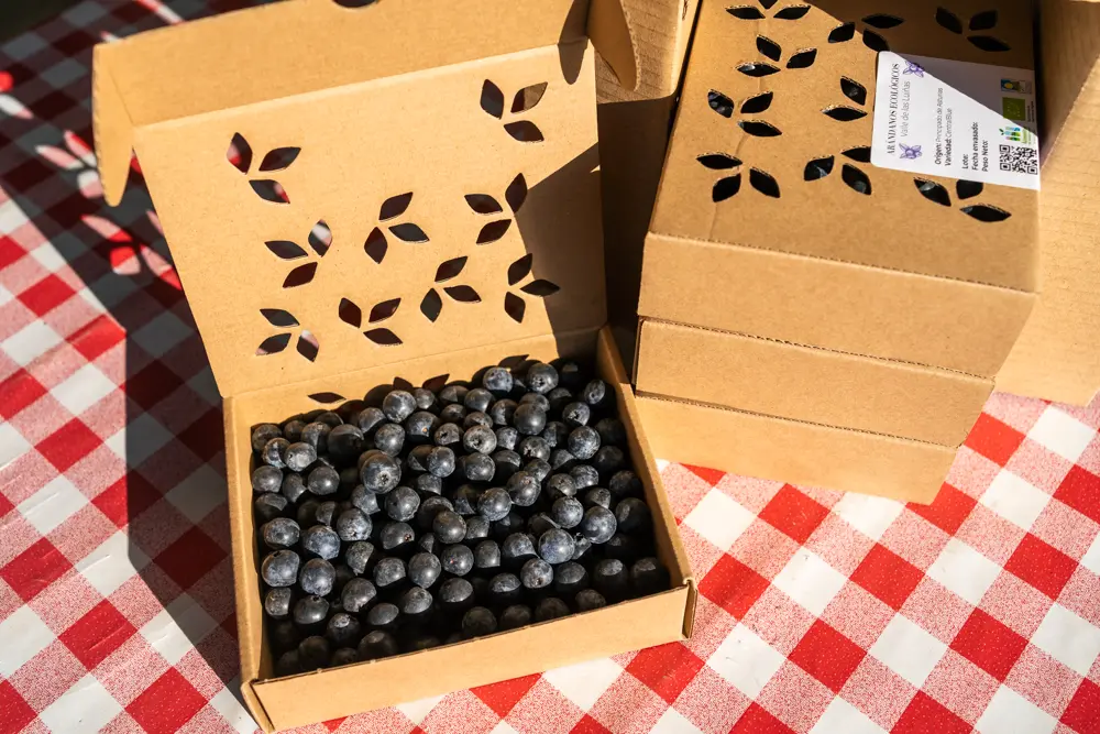 arándanos ecológicos 0,5 kg producto asturiano