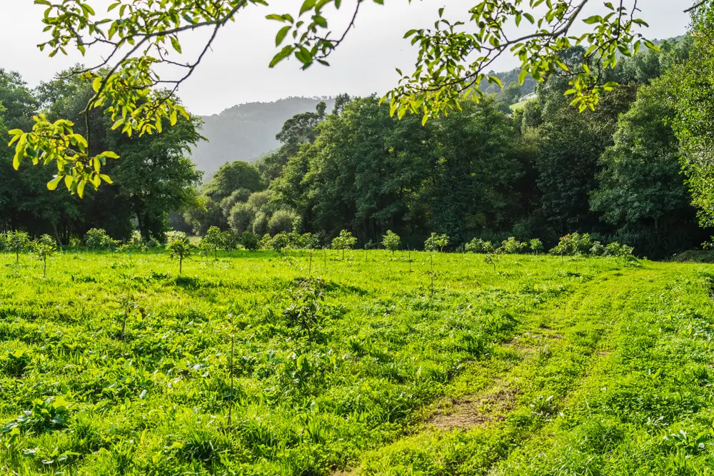 entorno al lado de las plantaciones de arandanos, fabas y aguacates