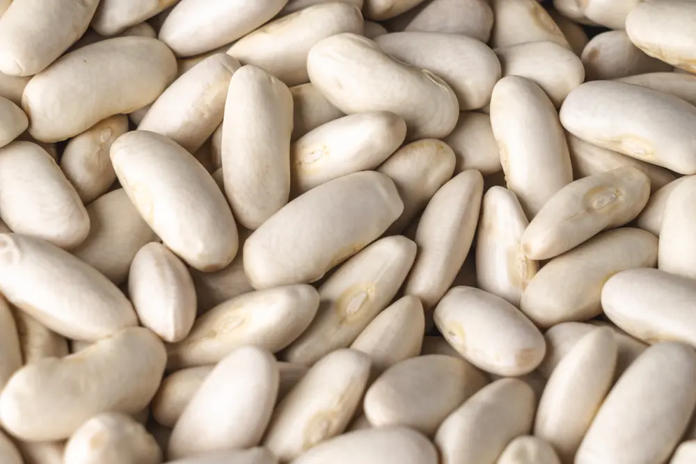 faba asturiana natural fabes fabada