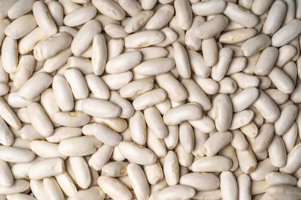 faba fabes asturiana para fabada blancas tienda online