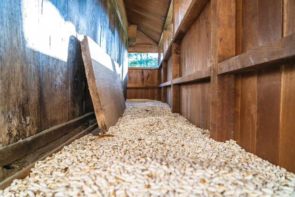 Horreo asturiano lleno de fabas
