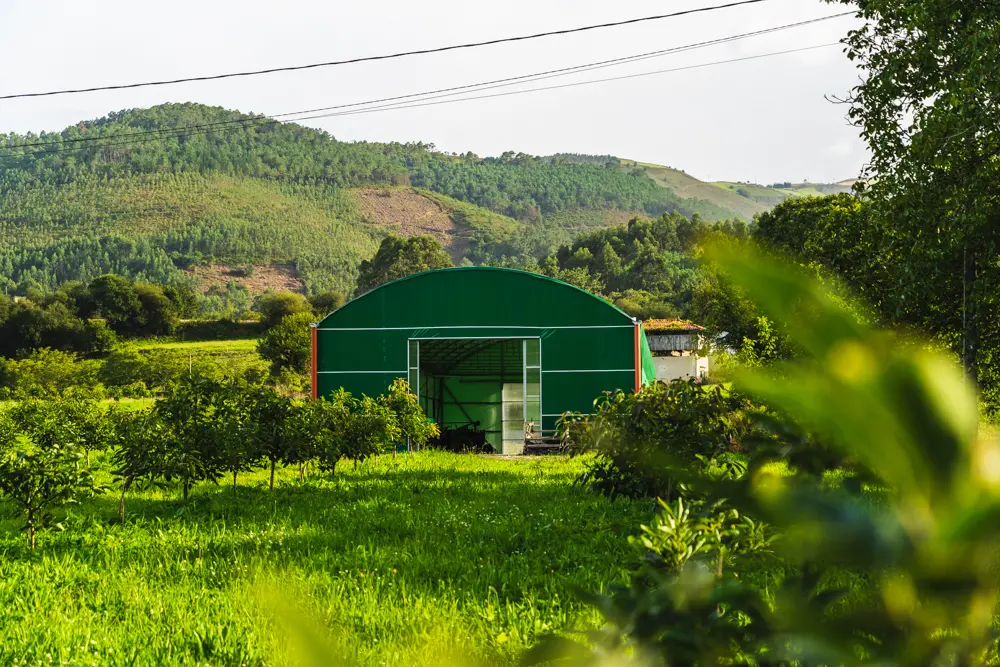 paisaje de la finca asturiana aguacates