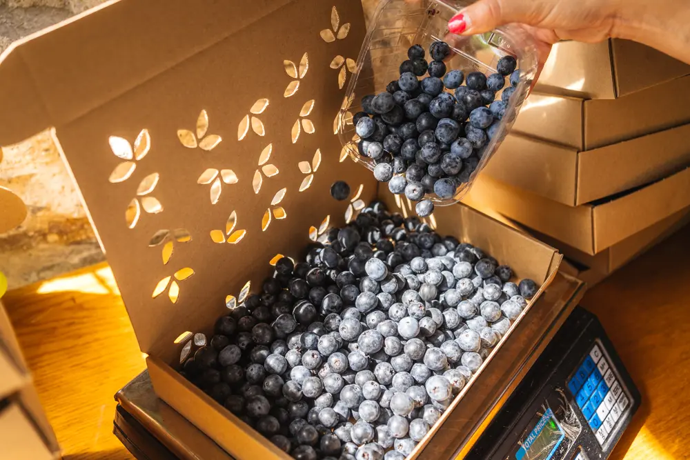 venta online de arandanos ecologicos