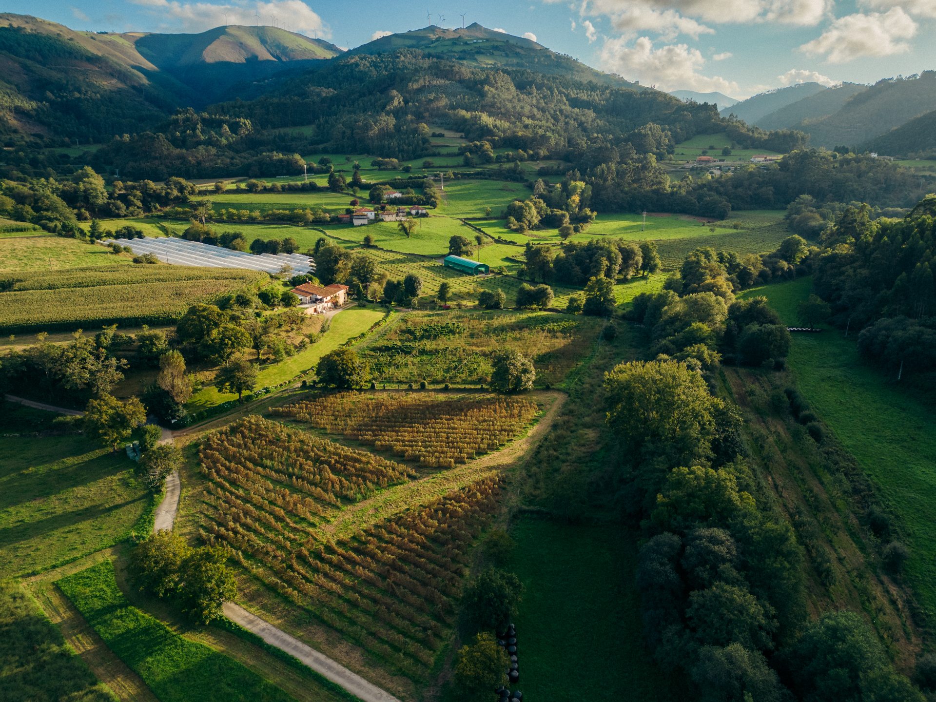 vista de dron de finca el ribeiro y sus plantaciones de arandanos, fabas y aguacates