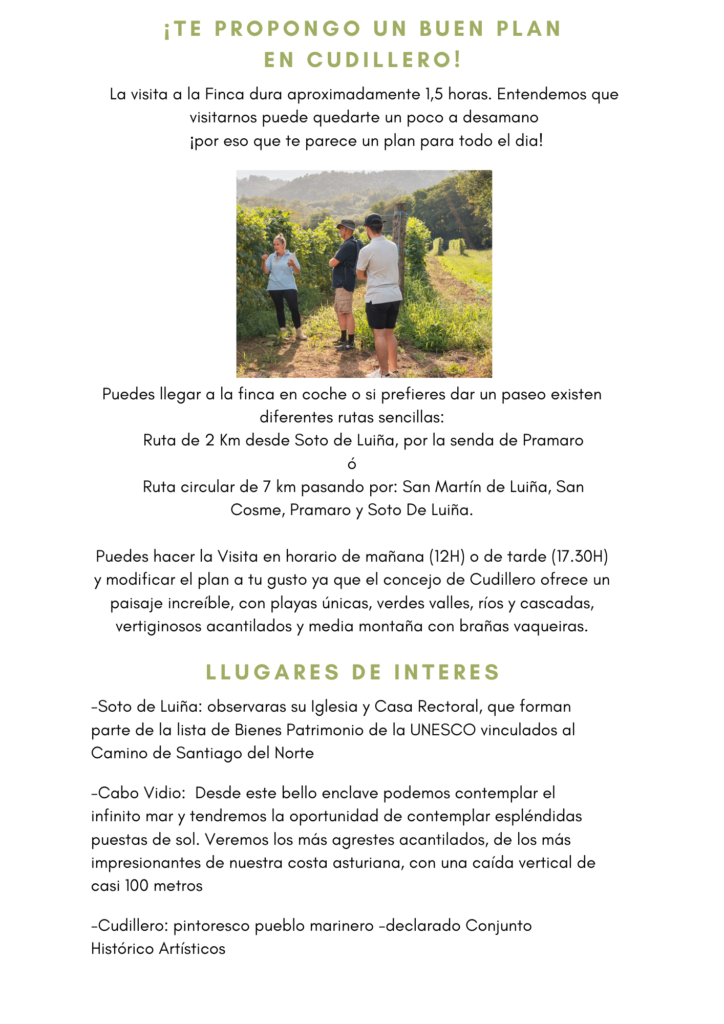 visitas guiadas en cudillero