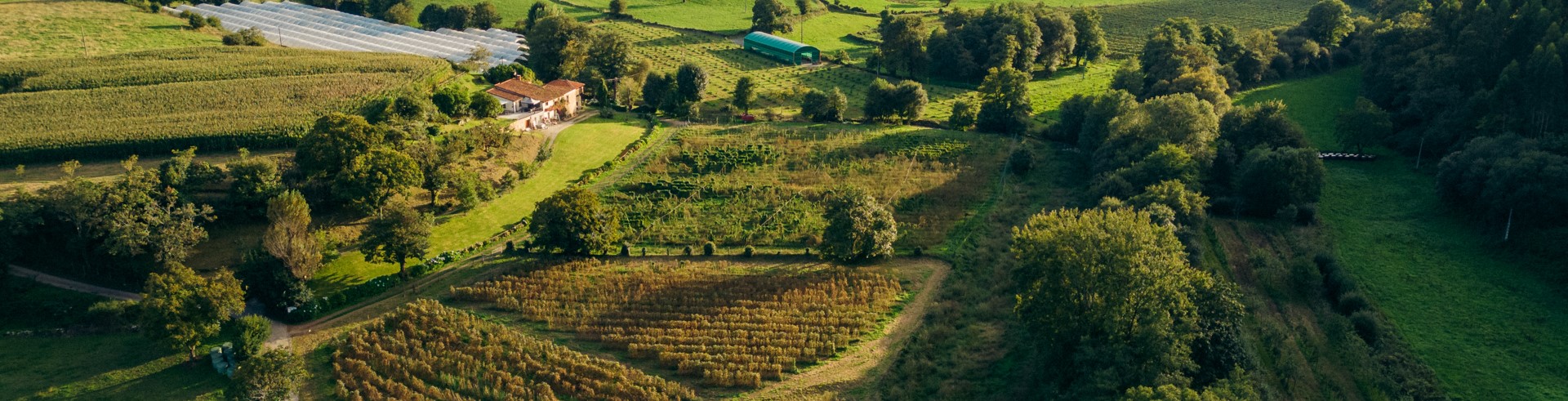 Vista aérea de Finca El Ribeiro