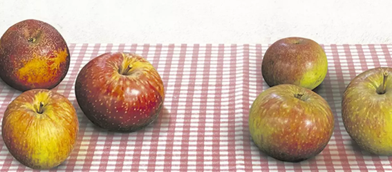 manzanas de mesa