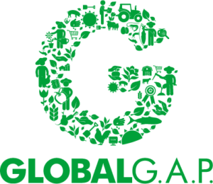 global g.a.p logo