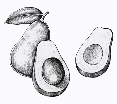 aguacate